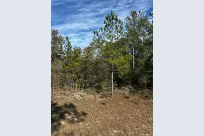 Tbd Valiant Drive, Chipley, FL 32428 - Photo 2