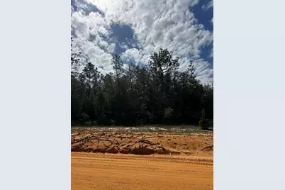 Tbd Elkcam Boulevard, Chipley, FL 32428 - Photo 2