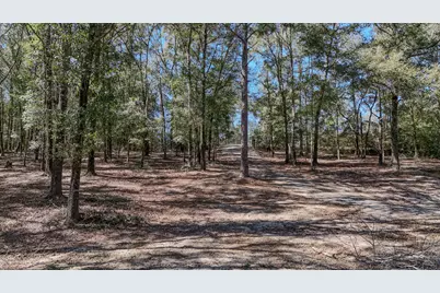 Lot 1 Oak Ridge Road, Defuniak Springs, FL 32433 - Photo 22