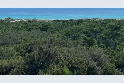 255 Cypress Drive, Santa Rosa Beach, FL 32459 - Photo 4