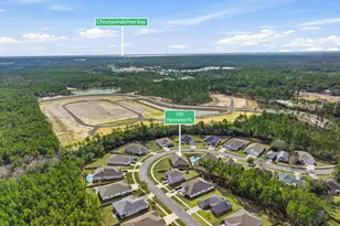 193 Perimeter Pl, Freeport, FL 32439 - Photo 38