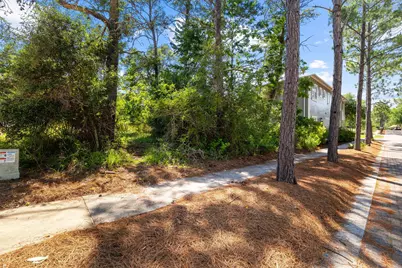 Lot 66 Lanier Lane, Santa Rosa Beach, FL 32459 - Photo 10
