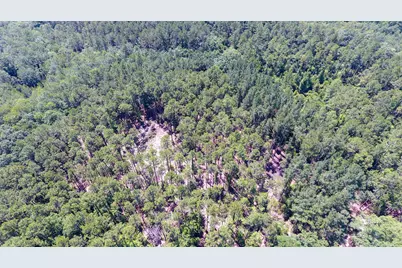 Tbd Hwy 177A #Lot 22, Bonifay, FL 32425 - Photo 6