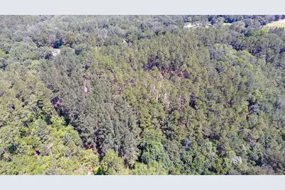 Tbd Hwy 177A #Lot 22, Bonifay, FL 32425 - Photo 8