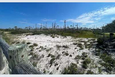 206 Bent Tree Road, Cape San Blas, FL 32456 - Photo 8