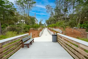 102 Camp Creek Rd S, Inlet Beach, FL 32461 - Photo 74