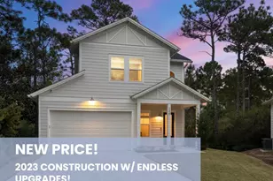248 Euvino Wy, Santa Rosa Beach, FL 32459 - Photo 2