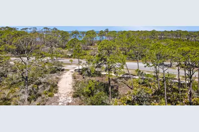 1548 Leisure Lane, Saint George Island, FL 32328 - Photo 10
