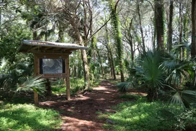 1548 Leisure Lane, Saint George Island, FL 32328 - Photo 22