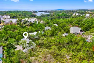 69 Blue Wave Dr, Santa Rosa Beach, FL 32459 - Photo 66
