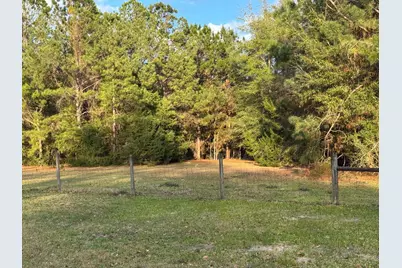 3955 Hwy. 77, Chipley, FL 32428 - Photo 10