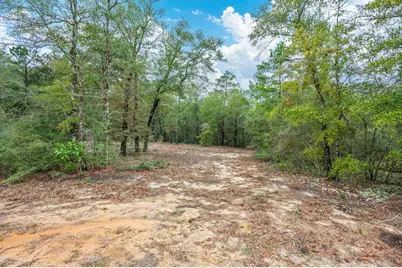 4.69 Acres Jv Woolley Road, Crestview, FL 32539 - Photo 4