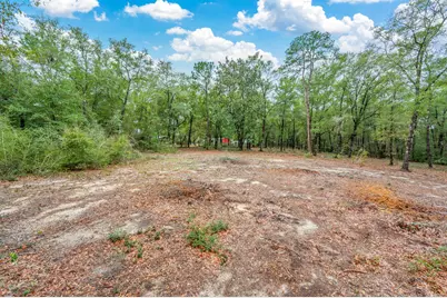 4.69 Acres Jv Woolley Road, Crestview, FL 32539 - Photo 6