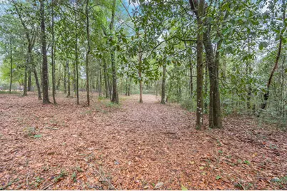 4.69 Acres Jv Woolley Road, Crestview, FL 32539 - Photo 10