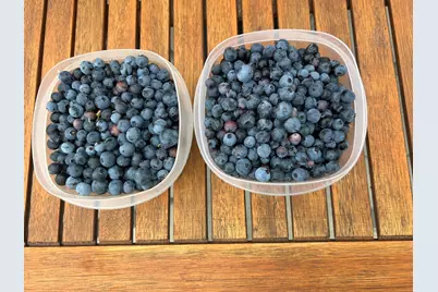 5997 Forest Bay Avenue, Gulf Breeze, FL 32563 - Photo 60