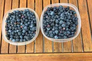 5997 Forest Bay Ave, Gulf Breeze, FL 32563 - Photo 60