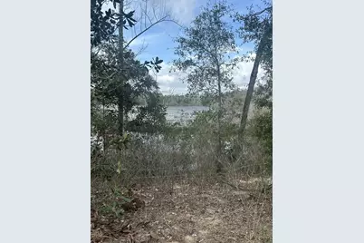 107 Pike Pond Road, Chipley, FL 32428 - Photo 8