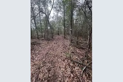 107 Pike Pond Road, Chipley, FL 32428 - Photo 32