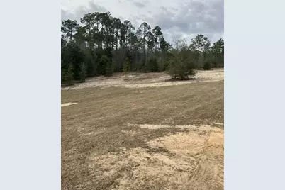 107 Pike Pond Road, Chipley, FL 32428 - Photo 12