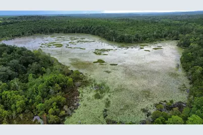 107 Pike Pond Road, Chipley, FL 32428 - Photo 42