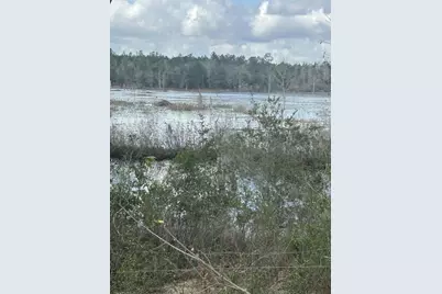 107 Pike Pond Road, Chipley, FL 32428 - Photo 6