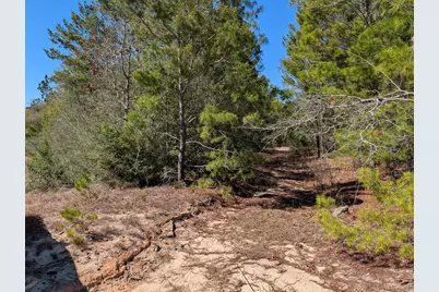 Tbd Willow Bend Drive, Defuniak Springs, FL 32433 - Photo 2