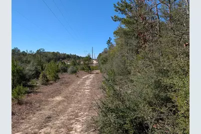 Tbd Willow Bend Drive, Defuniak Springs, FL 32433 - Photo 4