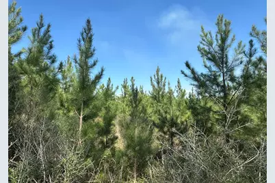 Tract#6336 Sand Path Road, Bonifay, FL 32425 - Photo 4