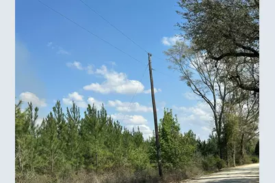 Tract#6336 Sand Path Road, Bonifay, FL 32425 - Photo 6