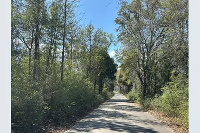 Tract#6336 Sand Path Road, Bonifay, FL 32425 - Photo 1