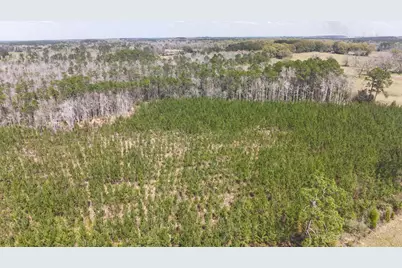 Tract#6336 Sand Path Road, Bonifay, FL 32425 - Photo 8