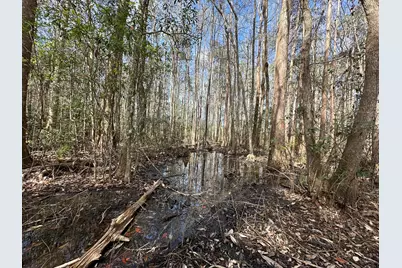 Tract#6409 Davis Road, Caryville, FL 32427 - Photo 10