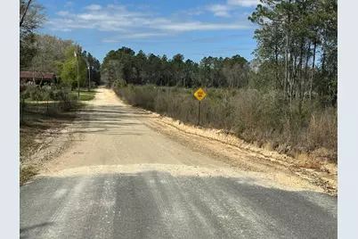 Tract#6409 Davis Road, Caryville, FL 32427 - Photo 4