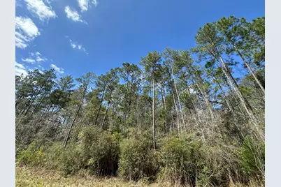 Tract#6409 Davis Road, Caryville, FL 32427 - Photo 8