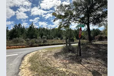 Tract#6409 Davis Road, Caryville, FL 32427 - Photo 12