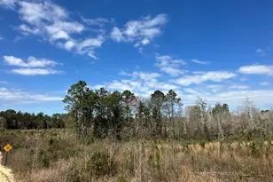 Tract#6409 Davis Rd, Caryville, FL 32427 - Photo 1