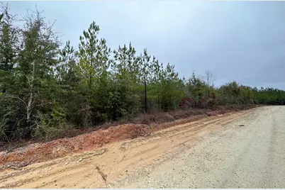 Tract#6418 S Mattox Springs Road, Caryville, FL 32427 - Photo 4