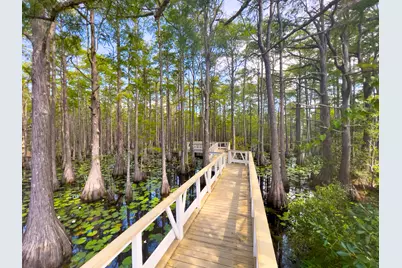 Lot 162 Gulf Walk, Santa Rosa Beach, FL 32459 - Photo 56