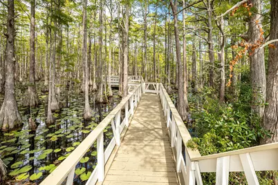 388 Cypress Drive, Santa Rosa Beach, FL 32459 - Photo 64