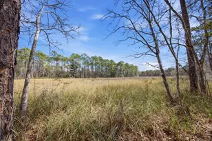 65 Island Grove Dr, Freeport, FL 32439 - Photo 32