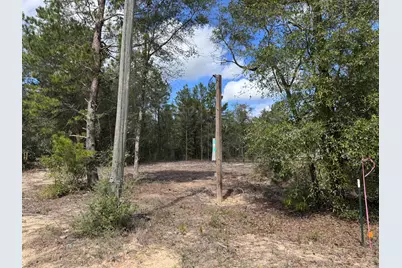 Lot 6 Country Boulevard, Defuniak Springs, FL 32433 - Photo 10