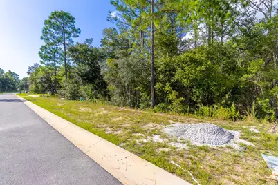 Tbd Spirit Bear Way #Lot 38, Blk C, Freeport, FL 32439 - Photo 12