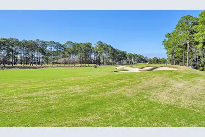 2521 Vineyard Lane, Miramar Beach, FL 32550 - Photo 42