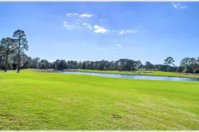 2521 Vineyard Lane, Miramar Beach, FL 32550 - Photo 44