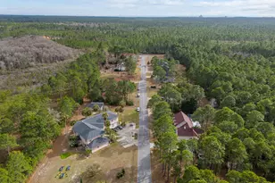 242 Hamon Ave, Santa Rosa Beach, FL 32459 - Photo 6