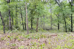 E Black Cherry Dr, Defuniak Springs, FL 32433 - Photo 1