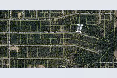 E Black Cherry Dr, Defuniak Springs, FL 32433 - Photo 2