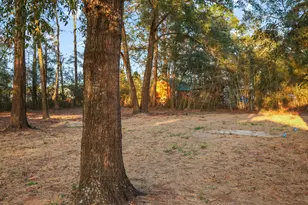 142 Hemlock Rd, Defuniak Springs, FL 32435 - Photo 2