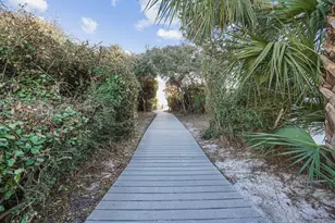 461 Blue Mountain Rd, Santa Rosa Beach, FL 32459 - Photo 54