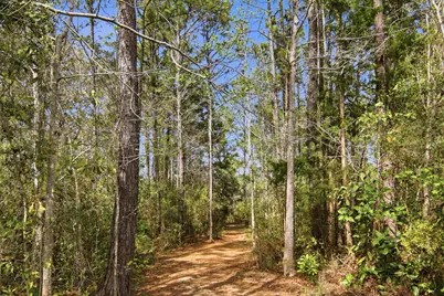 169 N Marsh Landing, Freeport, FL 32439 - Photo 42
